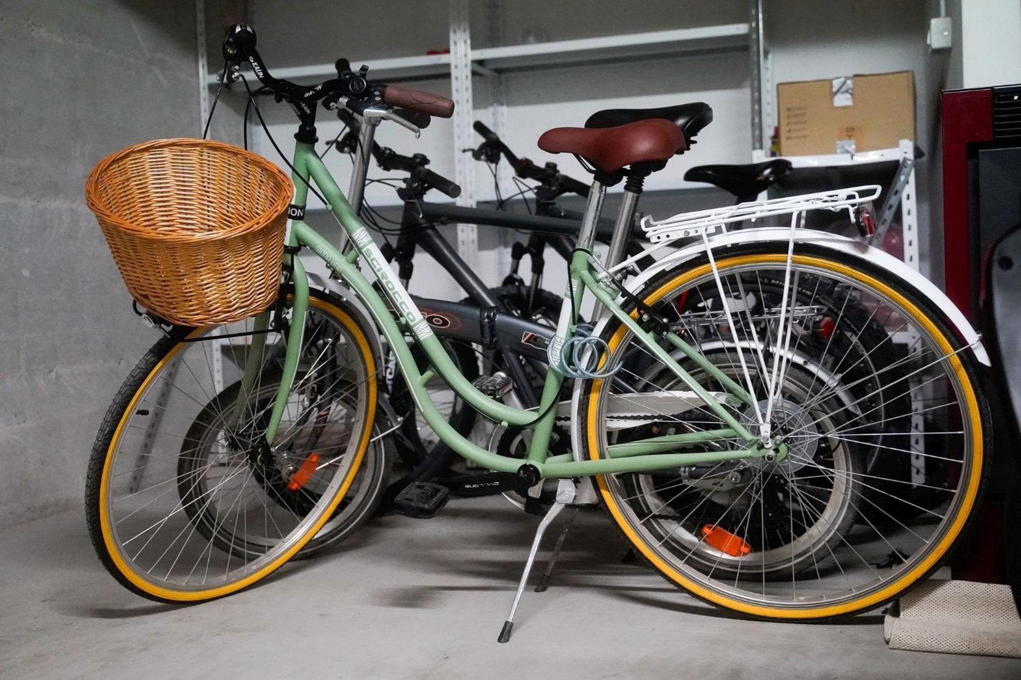 Dandelion Apartment Rovinj-Free Bikes Exteriör bild