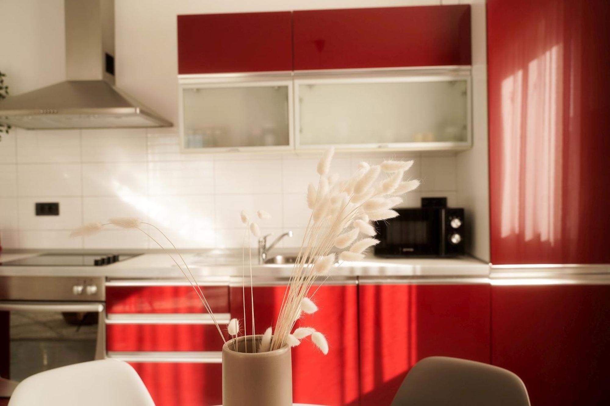 Dandelion Apartment Rovinj-Free Bikes Exteriör bild