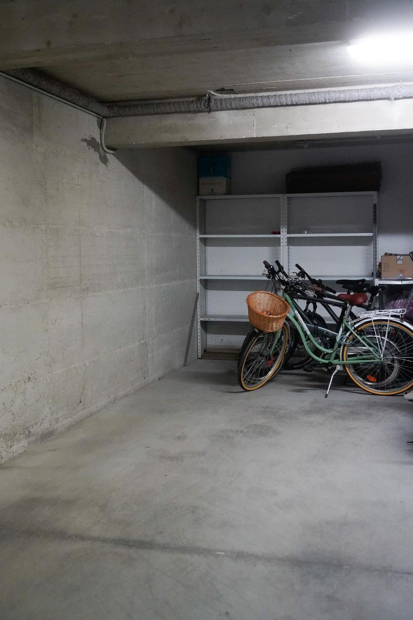 Dandelion Apartment Rovinj-Free Bikes Exteriör bild