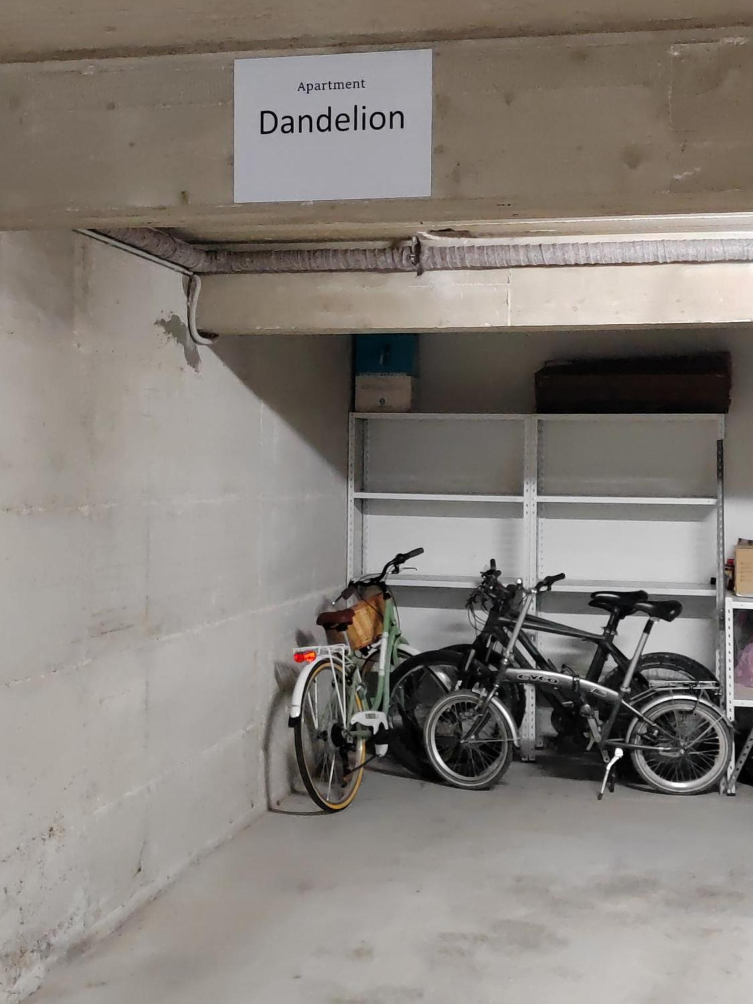 Dandelion Apartment Rovinj-Free Bikes Exteriör bild